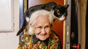 Села бабушке на шею: как кошка Алтынка прославила <nobr class="_">84-летнюю</nobr> хозяйку