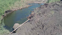 «Вся деревня нюхает»: жители села под Курганом сообщили о проблемах с канализацией