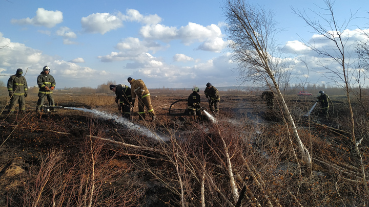 «Площадь тления снизилась на гектар»: как на юге Екатеринбурга тушат горящий торфяник