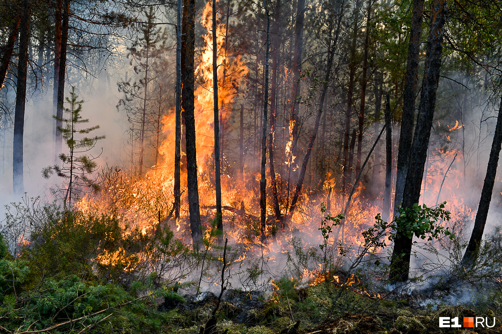 Куйвашев высказался о «диверсантах», поджигающих леса в Свердловской области