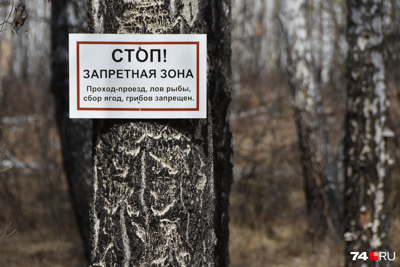 Со стороны дороги Большой Куяш — Озёрск каждые метров сто есть вот такие таблички Со стороны дороги Большой Куяш — Озёрск каждые метров сто есть вот такие таблички