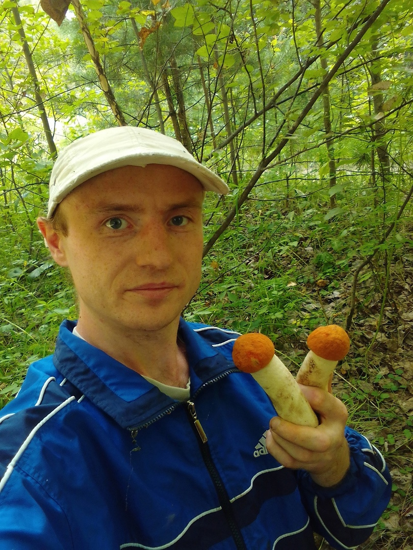 Андрей и найденные под Сухобузимским подосиновики Андрей и найденные под Сухобузимским подосиновики