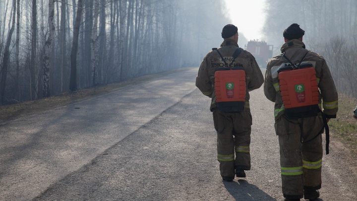 Спасают лес и борются с огнем: сколько в Тюменской области платят пожарным, егерям и лесникам