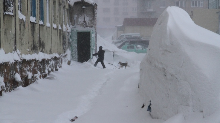 «Люди забыли, что такое человеческая зима»: что случилось с погодой в России и какой будет весна