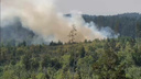 «Надышались дымом до полуобморочного состояния»: что рассказали тольяттинцы, которые живут в нескольких шагах от лесного пожара