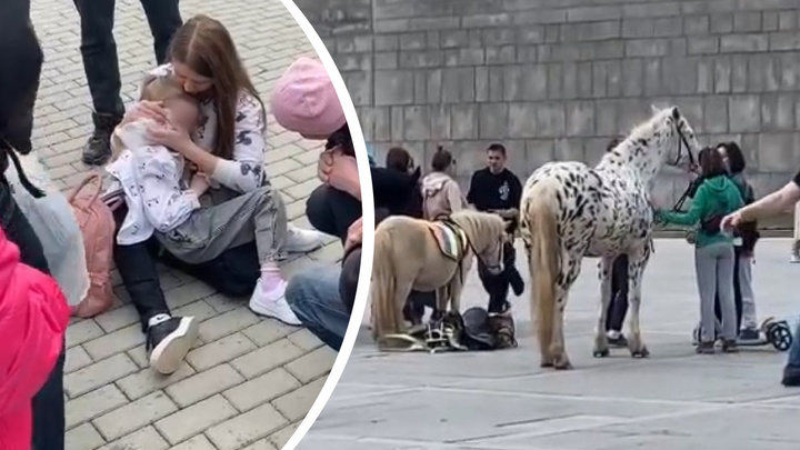 «Чуть ли не наступила на голову»: в центре Екатеринбурга лошадь сбросила девочку