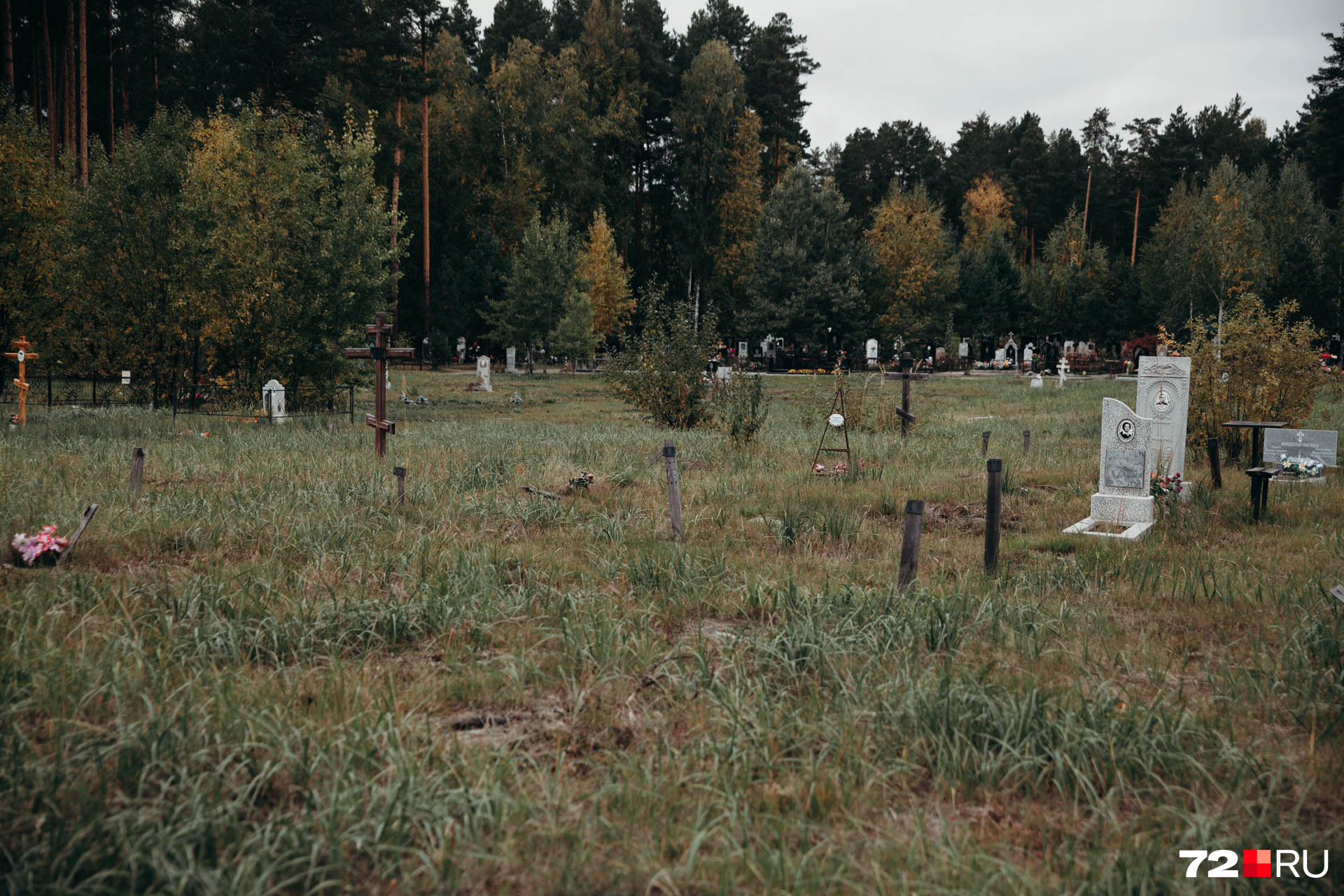 На Червишевском кладбище — несколько секторов для невостребованных тел. Участок на фото уже переполнен, сейчас там никого не хоронят