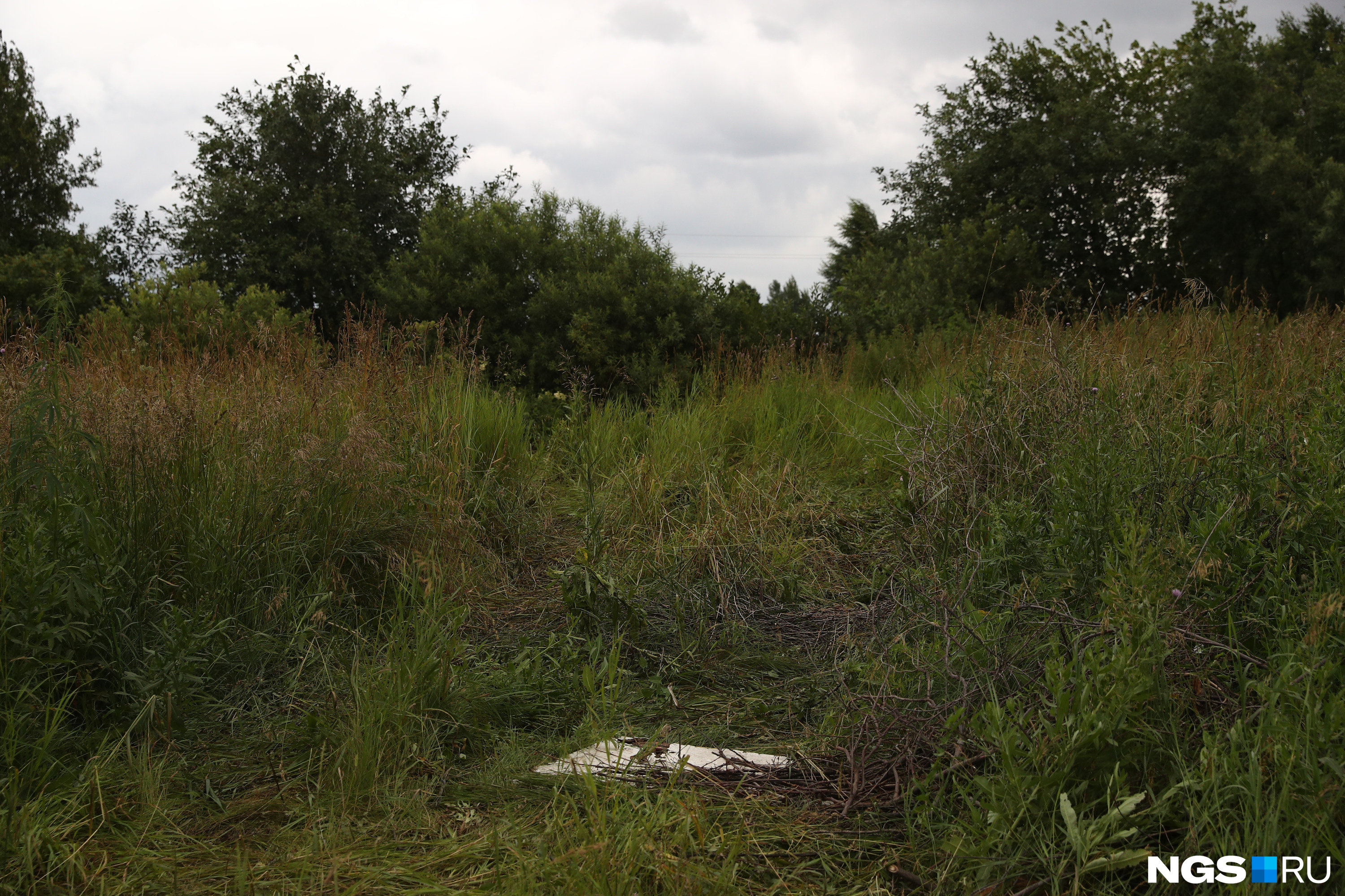 Найдена в овраге. Найдена в овраге. Найдена в овраге. Отдыхаем на природе. Испинали и выбросили в овраг.