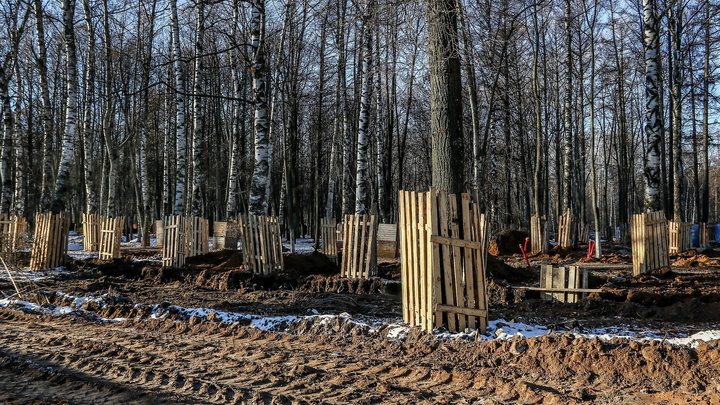 Биологи изменили программу озеленения парка «Швейцария» из-за несоответствия климату Нижнего Новгорода