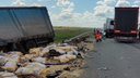 Кабину вывернуло: в Самарской области лоб в лоб столкнулись грузовики