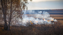 В Курганской области тушат лесной пожар в восьми километрах от поселка