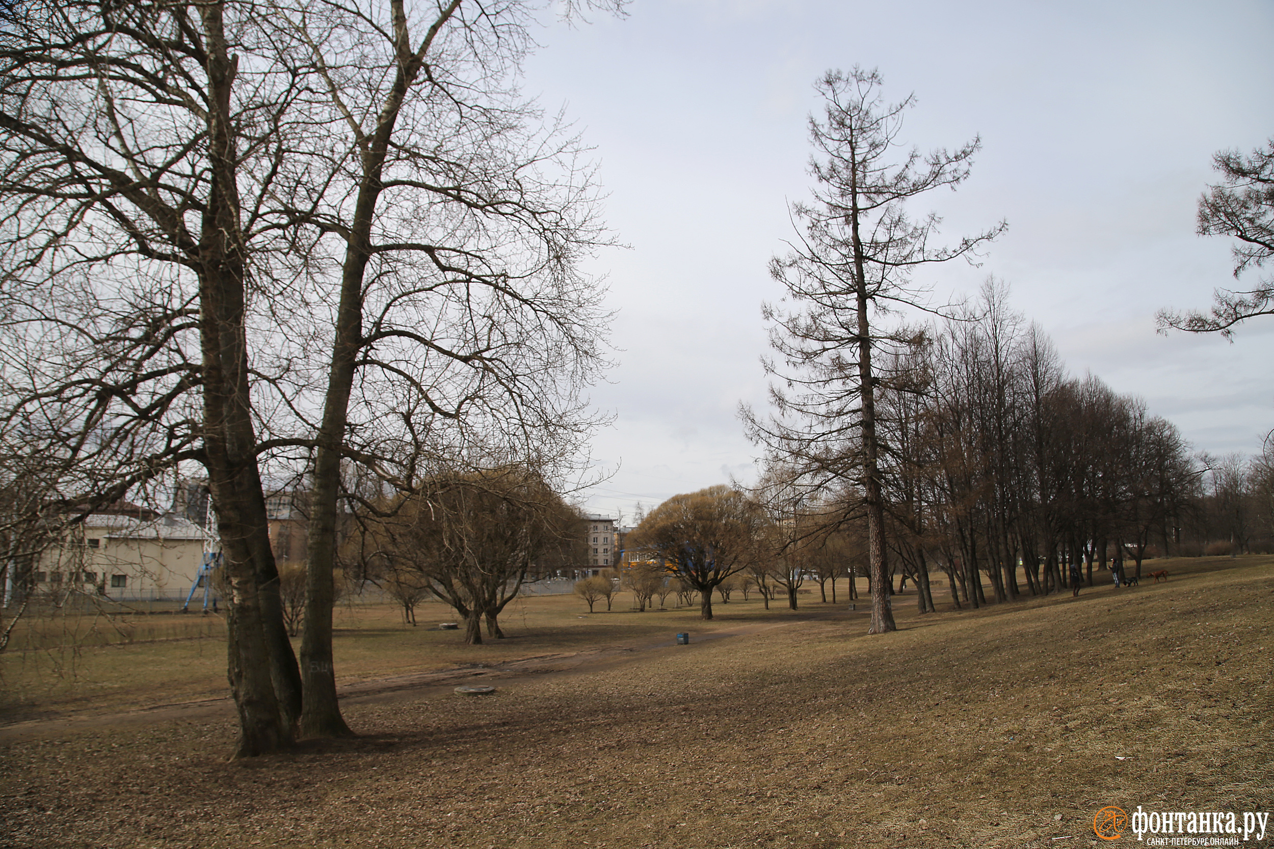 Полюстровский сад в Выборгском районе