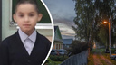 В Ярославском районе прекратили поиски 9-летнего школьника