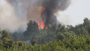 В Самарской области загорелся лес около Нового Буяна