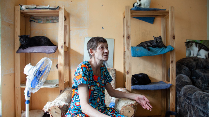 В Тюмени хозяйка приюта ищет хозяев 120 кошкам — она неизлечимо больна раком