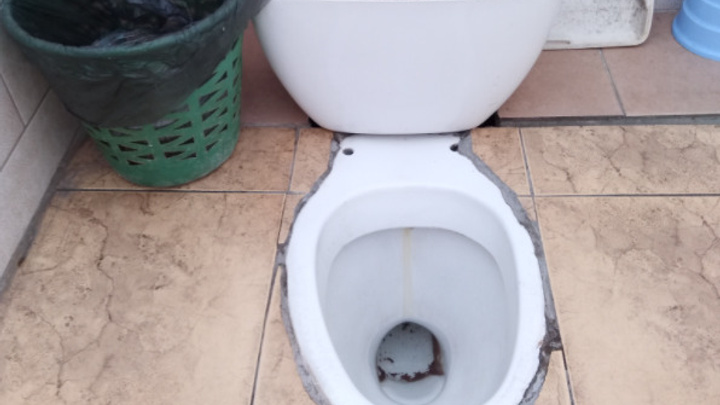Учащиеся Заволжья не смогли узнать туалет из своей школы, который был признан «Доместосом» самым ужасным в Поволжье