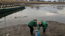 «Запах невыносимый». Стоки из канализации Каменска вылились в реку Северский Донец