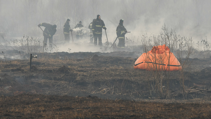 Власти Кузбасса рассказали, сколько потратят на профилактику пожаров. Спойлер: много миллионов