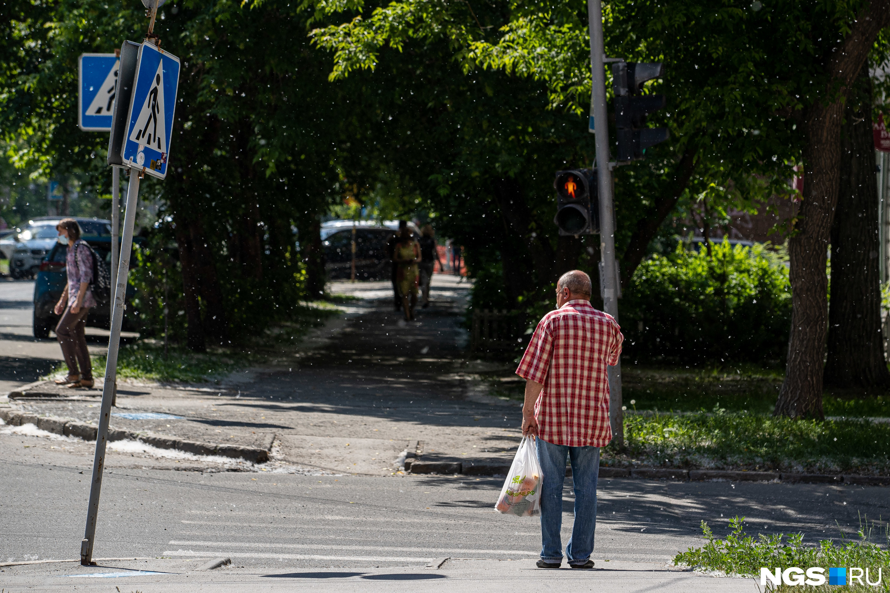 Тополиный пух жара картинки с надписями прикольные