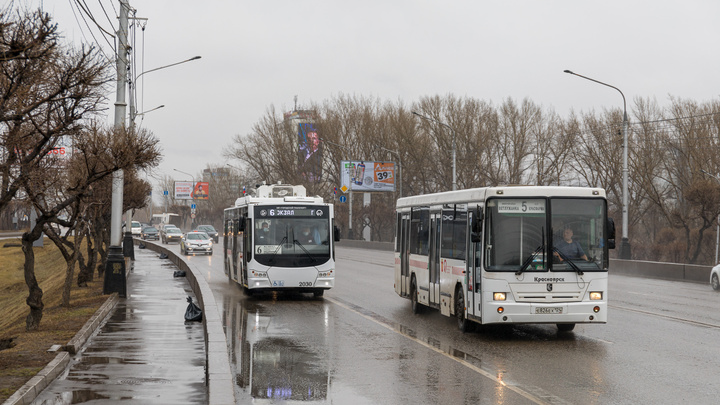 Красноярску закупают 20 новых троллейбусов почти за полмиллиарда рублей
