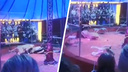 Львица из частного челябинского цирка напала на дрессировщика во время выступления под Новосибирском