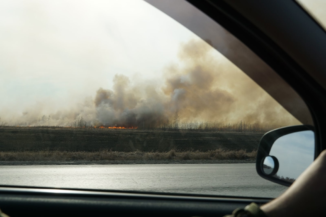 Так горели поля в Любинском районе в прошлые выходные