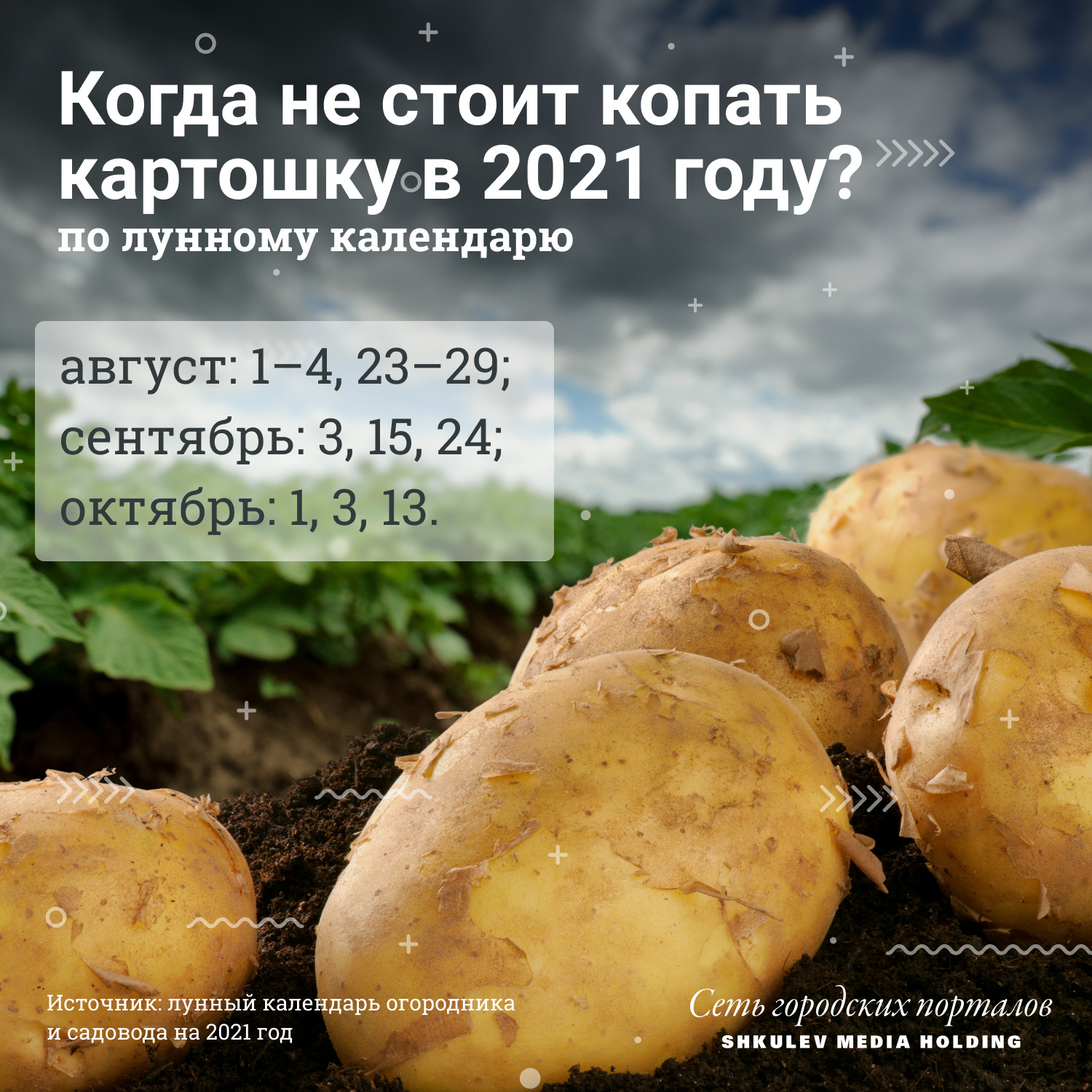 Неблагоприятные даты для выкапывания картошки в 2021 году, согласно лунному календарю