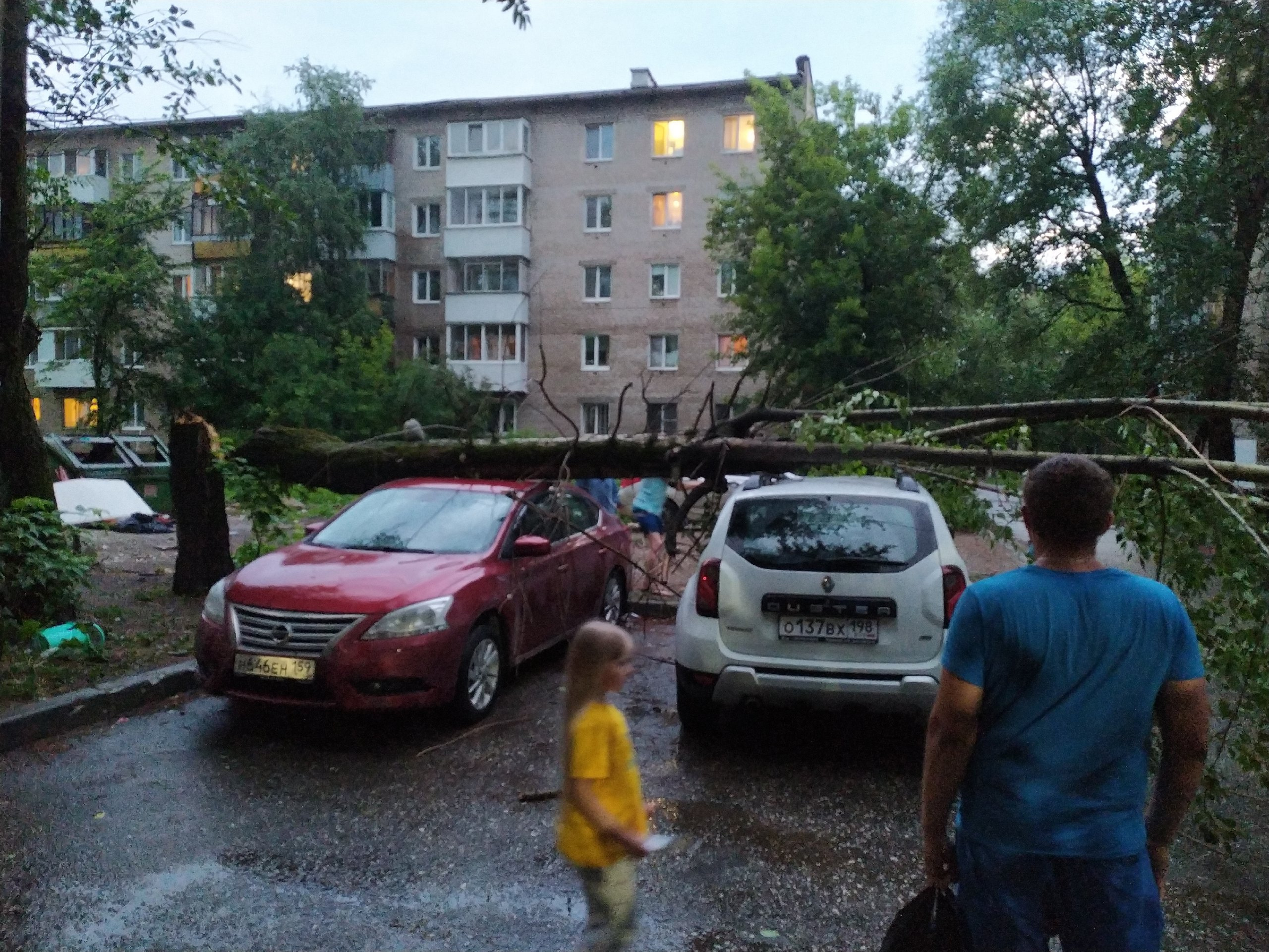 На улице Пушкарской дерево упало на машины
