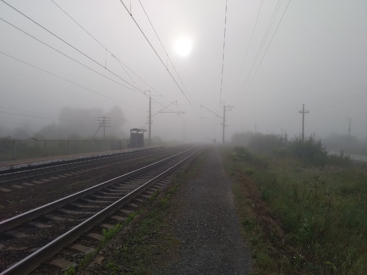 Солнце в тумане Солнце в тумане