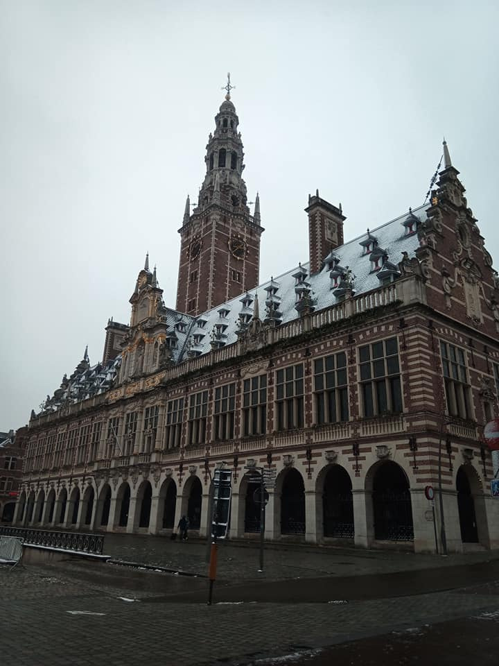 Развлекаться в Бельгии (на фото Левен) сейчас можно походами в магазин, музеи и библиотеки