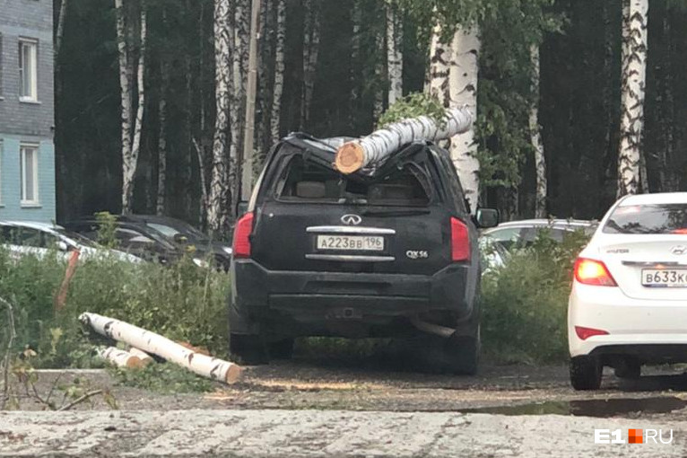На улице Чкалова на машину упала береза