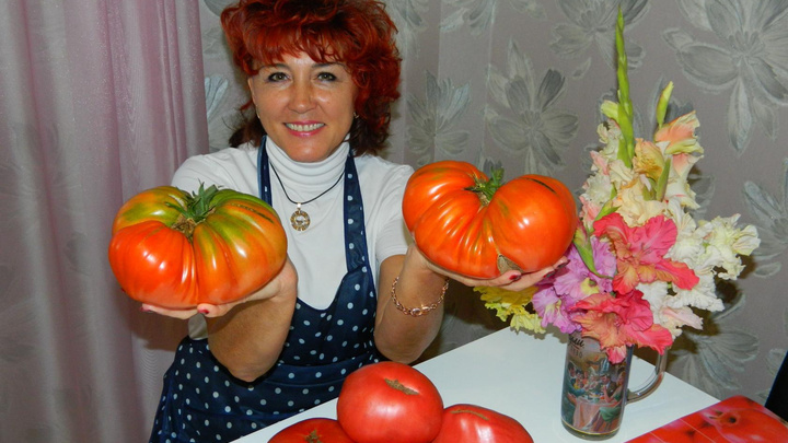 Жительница Минусинска, ведущая блог о помидорах, признана «Звездой Рунета»