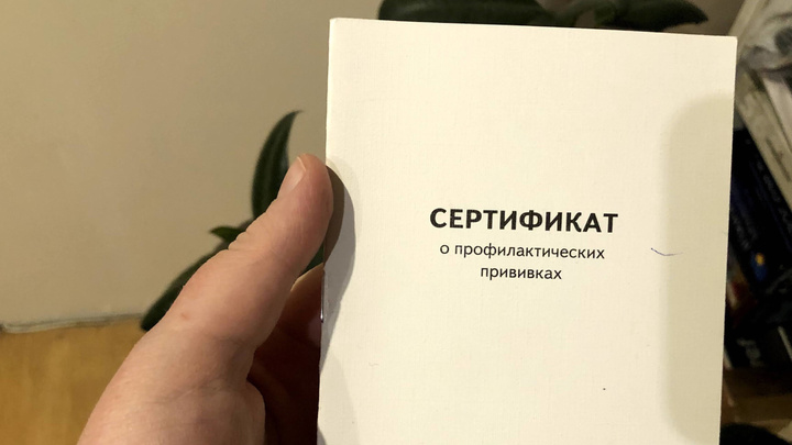 В Красноярске возбуждено первое дело о подделке прививочных сертификатов