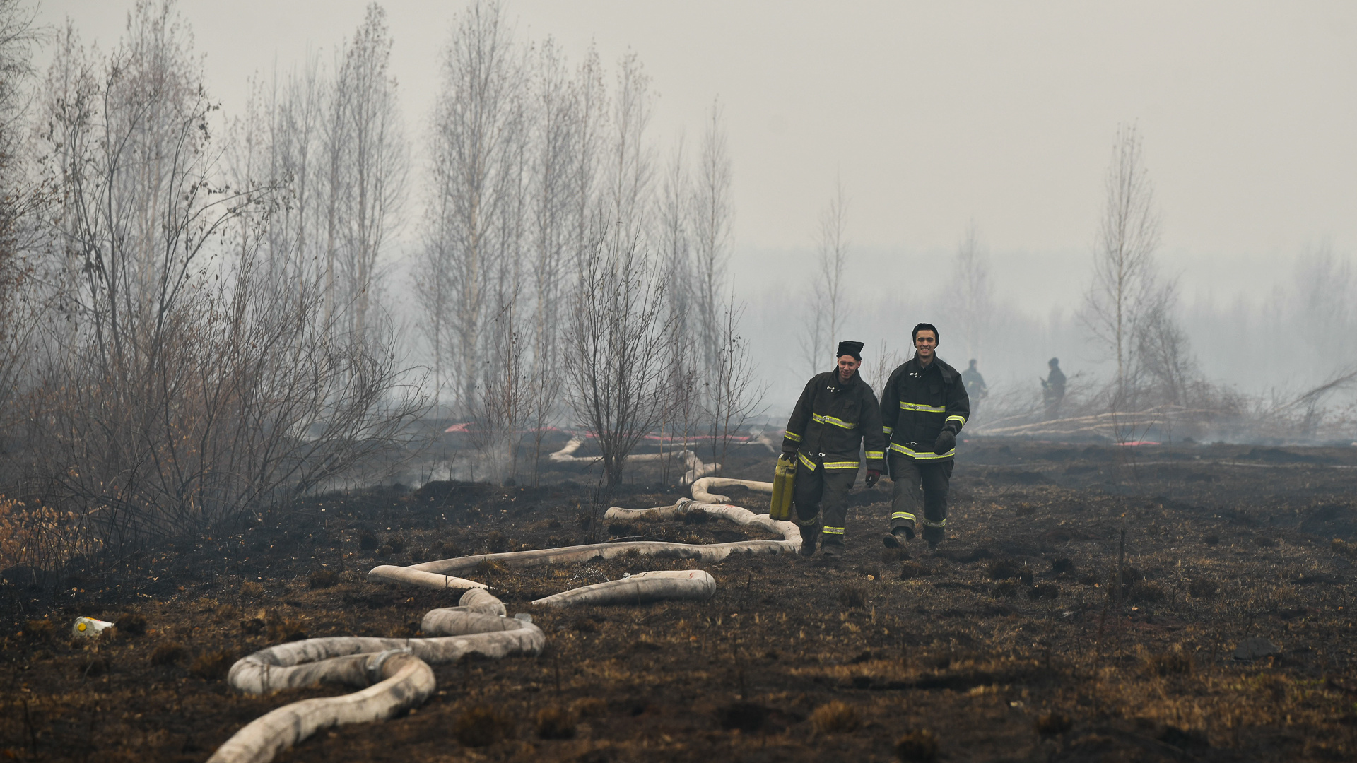 За год в Югре сгорело больше леса, чем за 10 лет