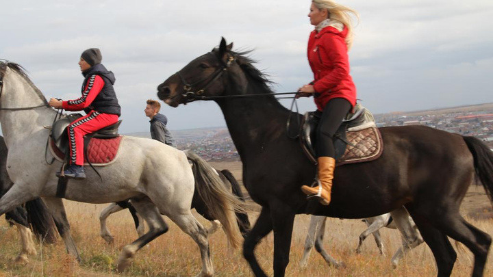 Пора валить из города: седлаем коней и любуемся красноярской природой