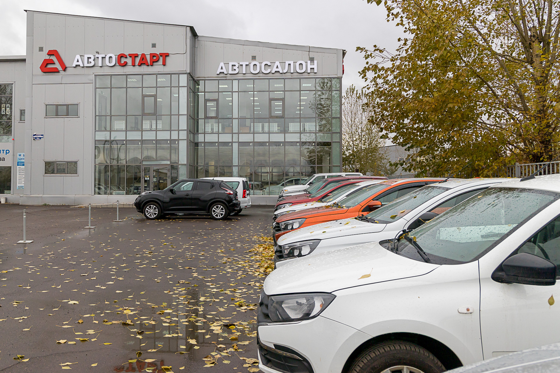 Автодилер да. Автосалон старт. Автодилер года 2021. Автомобиль старт салон. Старт-авто Южно-Сахалинск.