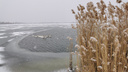 Солёное озеро в Батайске сковало льдом. Местным жителям пришлось спасать молодых лебедей