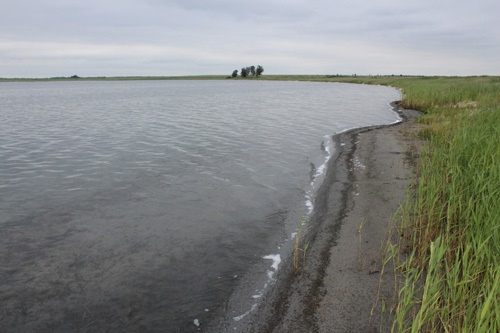 Целебное озеро находится в 5 километрах от села Мартыновка