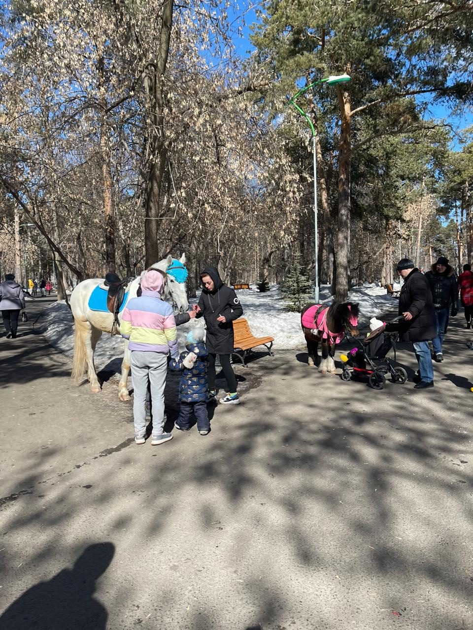 А кони и пони растаптывают дорожки А кони и пони растаптывают дорожки