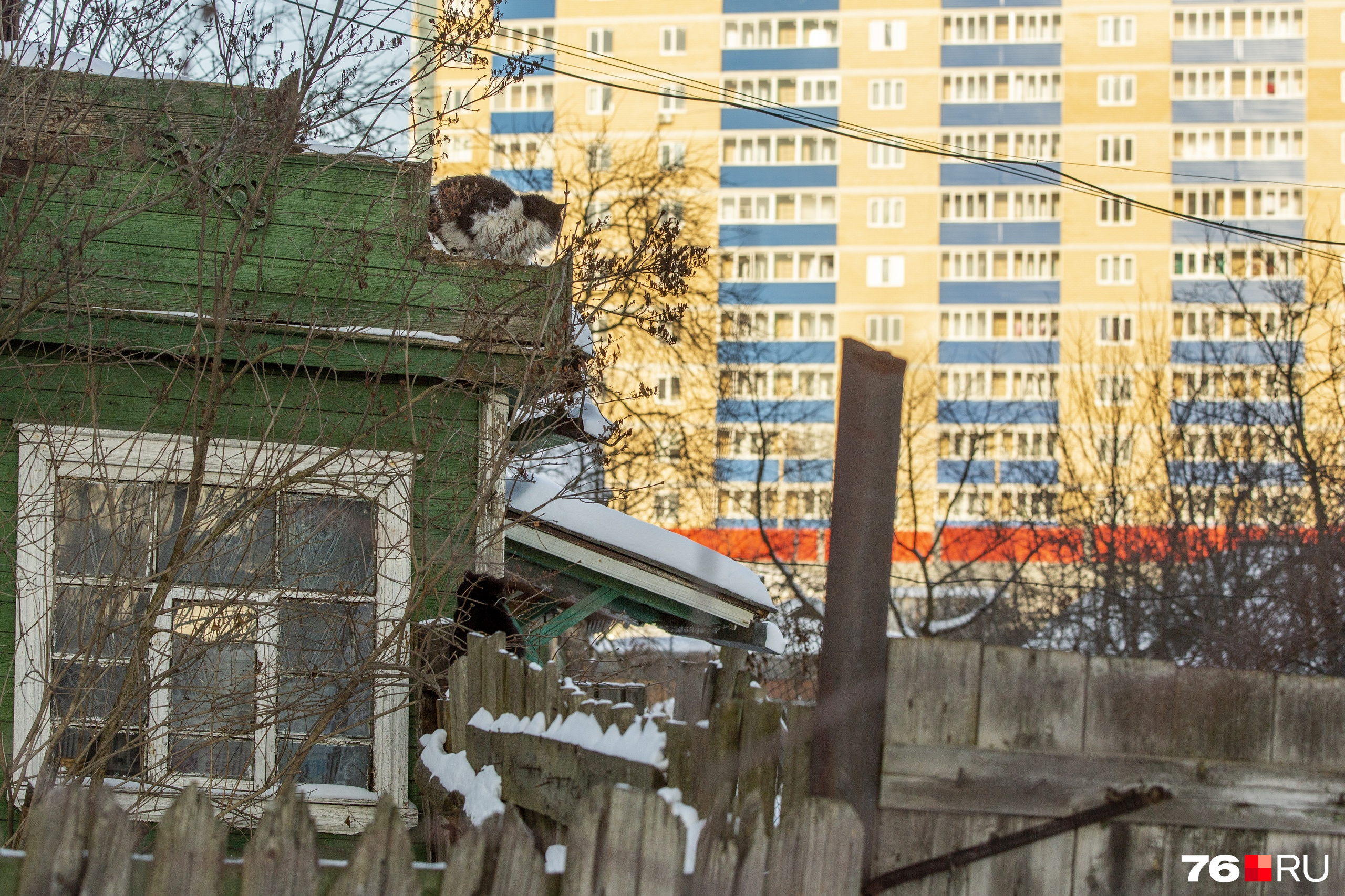 Многоэтажки точечно строят в частном секторе Многоэтажки точечно строят в частном секторе