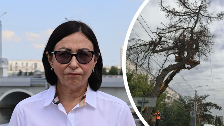 Мы спросили мэра о роли ее зама и главы КДХ в сносе векового дерева в центре Челябинска. И вот что она сказала