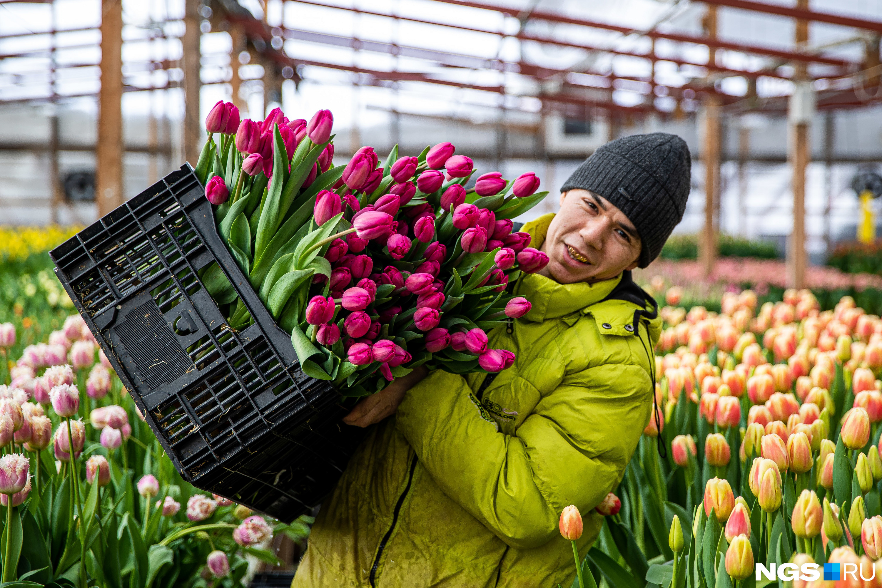 В обычное время в теплицах предпринимателя работают <nobr человек</nobr></p>
<p>. В конце февраля их число увеличивается до 26 — иначе с заказами и отгрузкой не справиться
