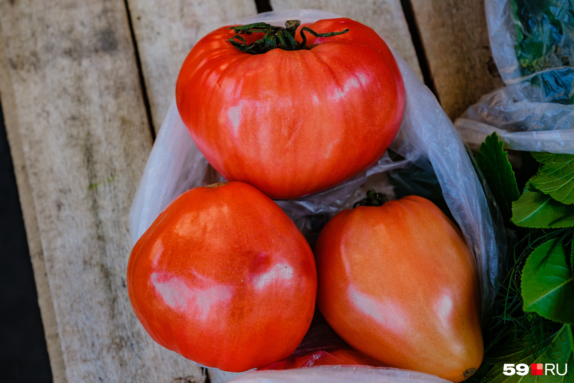 Если хотите сделать домашний томатный сок, лучше дождитесь сезона