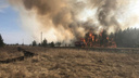 В Курганской области пожар уничтожил 1000 гектаров леса