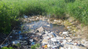 Жители курганского микрорайона пожаловались на свалки и слив отходов в окрестные водоемы
