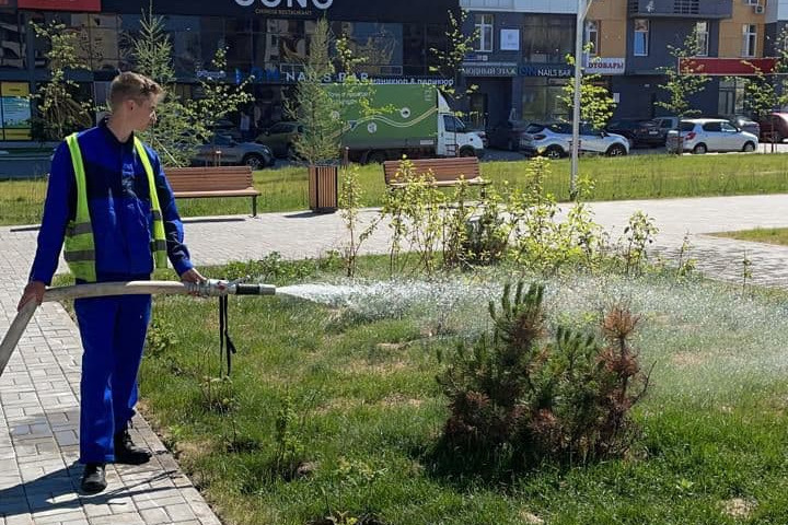 На этом фото газоны и деревья поливает сотрудник «Стройкома»