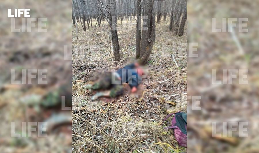Погибшему мужчине было <nobr class="_">48 лет</nobr> Погибшему мужчине было <nobr class="_">48 лет</nobr>