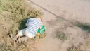 В Челябинской области маленького мальчика нашли спящим на обочине дороги