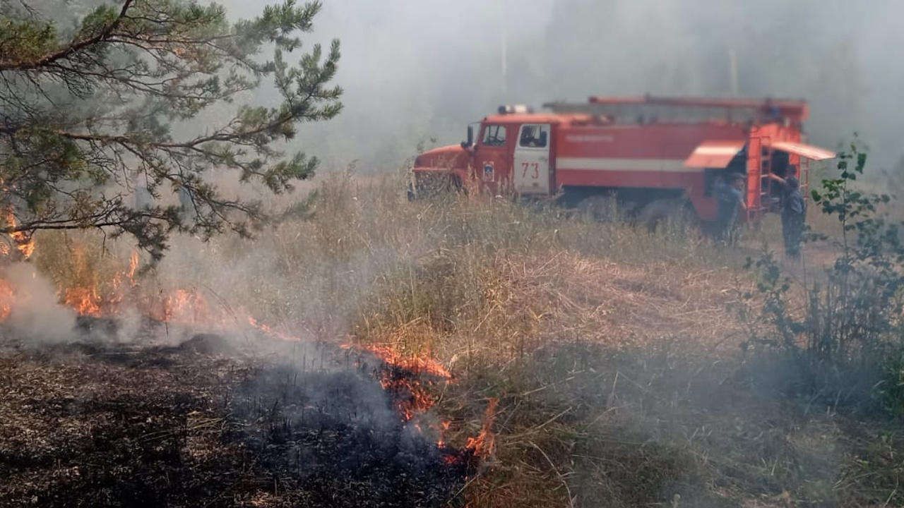 Лесные пожары, апгрейд Уфы и отвергнутый ковид: подводим итоги недели