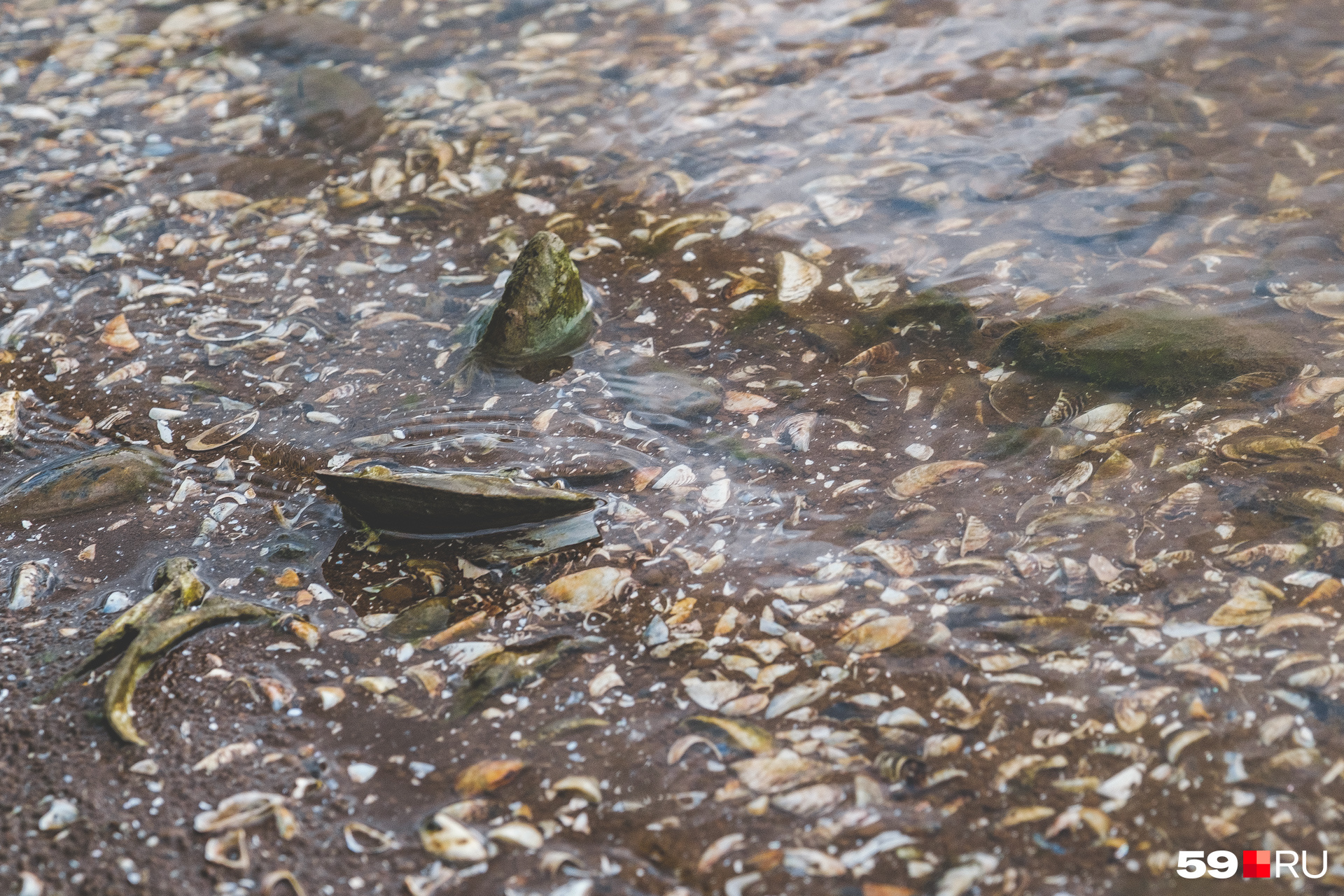 3198e76f9b2271d58df89fda3a305d54153c084be_1920